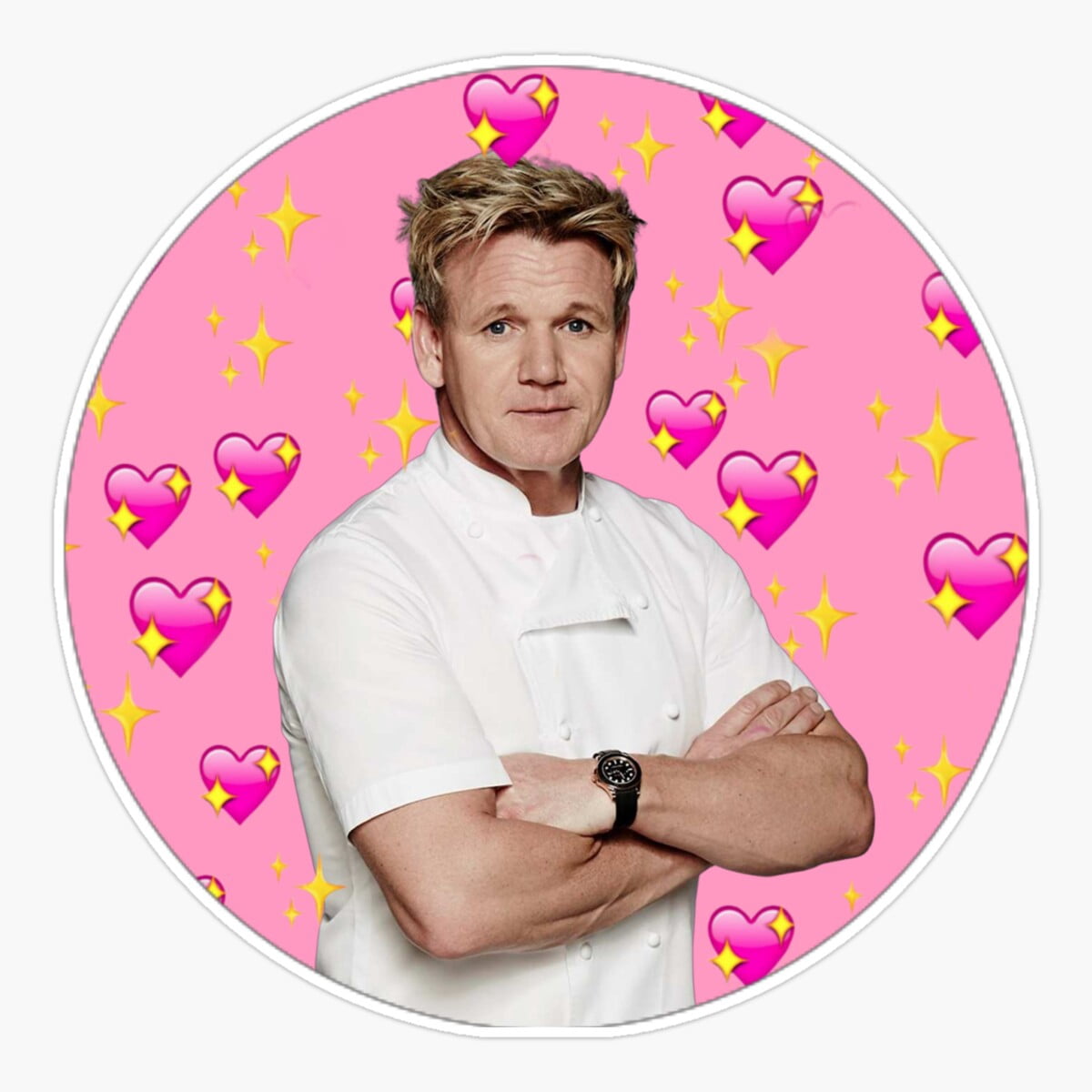 Maneki Gordon Ramsay Wholesome Sticker, Phone Decal Water Bottle ...