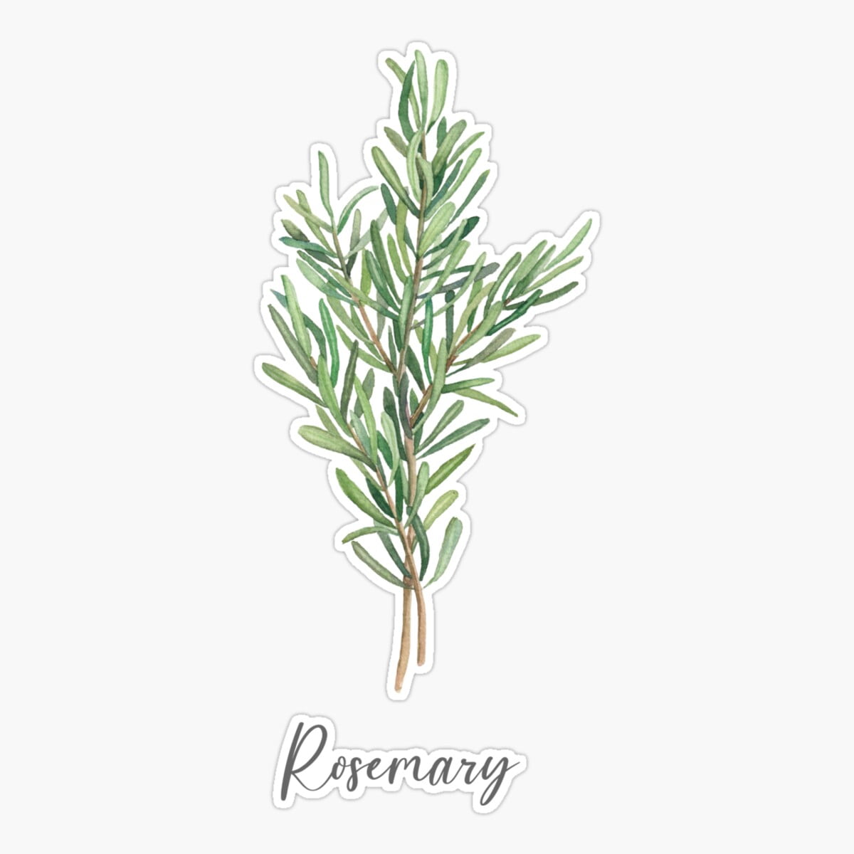 Rosemary Sticker Maneki Rosemary Herb Art Sticker, Phone Decal Water Bottle Stickers Car ...