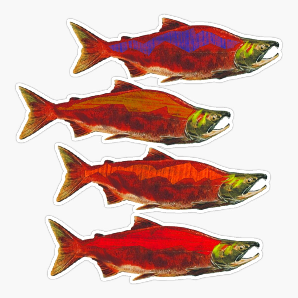 Maneki Salmon School Er, Phone Decal Water Bottle Stickers Car Decals ...