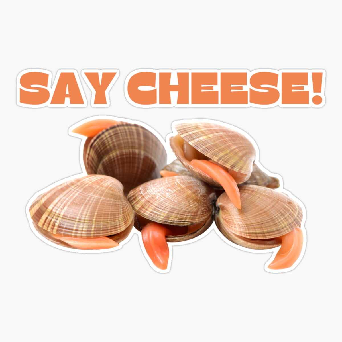 Maneki Say Cheese Clams With Tongues Out Funny Photobomb Cute Adorable ...