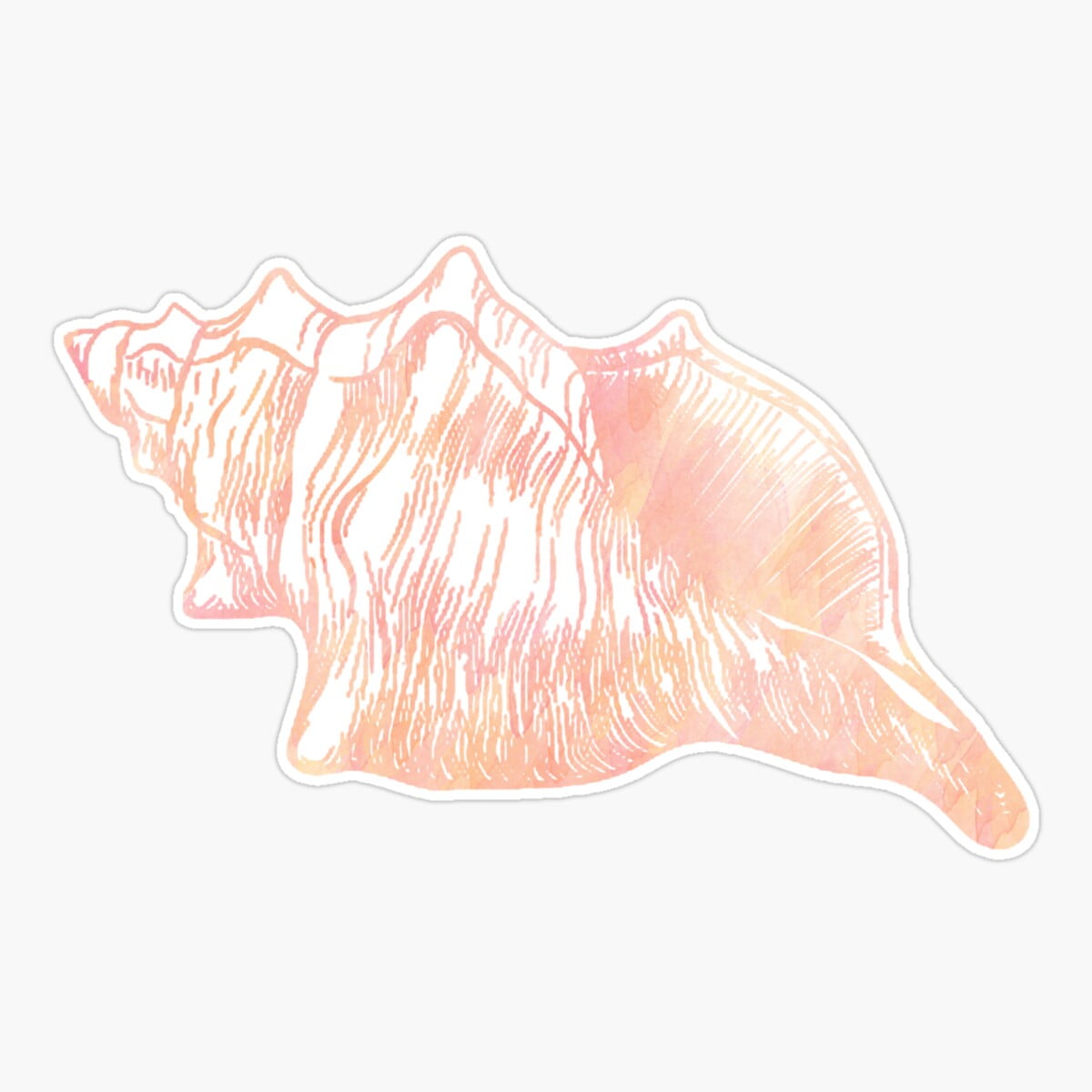 Maneki Sea Shell Sticker, Phone Decal Water Bottle Stickers Car Decals ...