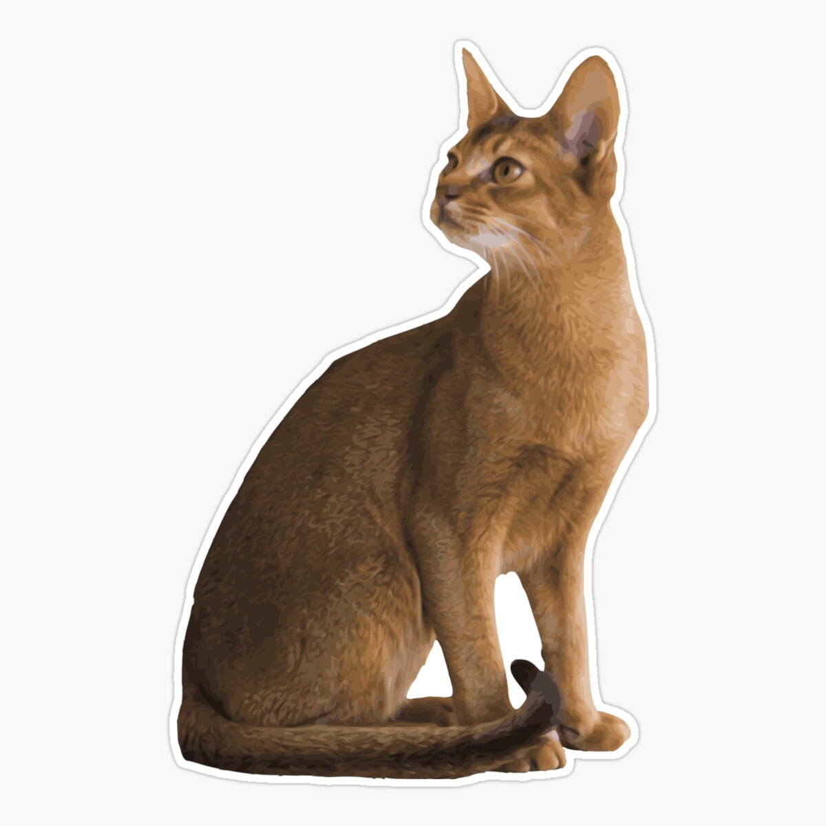Sticker Light Brown Maneki The Cute Light Brown Tan Abyssinian Cat Sticker, Phone Decal ...