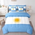 thumbnail image 1 of Manfei Argentinian Flag 7-Piece Twin Bedding,Blue White Yellow Bedding Comforter Set,Light Gray Reversible, 1 of 7