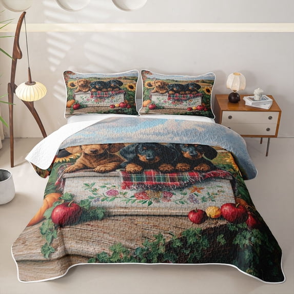 Manfei Kawaii Fall Dachshund Quilt King for Boys Girls, Autumn Farm Pumpkin Sunflower King Coverlet Set