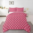 thumbnail image 1 of Manfei Polka Dots 3 Pieces Queen Comforter Set for Female Men,Minimalist Mid Century Ultra Soft Bedding Sets,Cartoon Geometric Circle Bedding Comforter Set Breathable,Lightweight Room Decor, 1 of 8