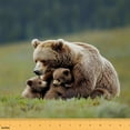 thumbnail image 1 of Manfei Safari Bear Sewing & Crafting Fabric (5 Yards), Wild Animal Wildlife Home Decor Fabric by the Yard, Green Grass DIY Fabric, 1 of 6