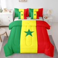 thumbnail image 1 of Manfei Senegal Flag 7-Piece King Bedding,Vintage National King Bed in a Bag,Green Yellow Red,Light Gray Reversible, 1 of 7