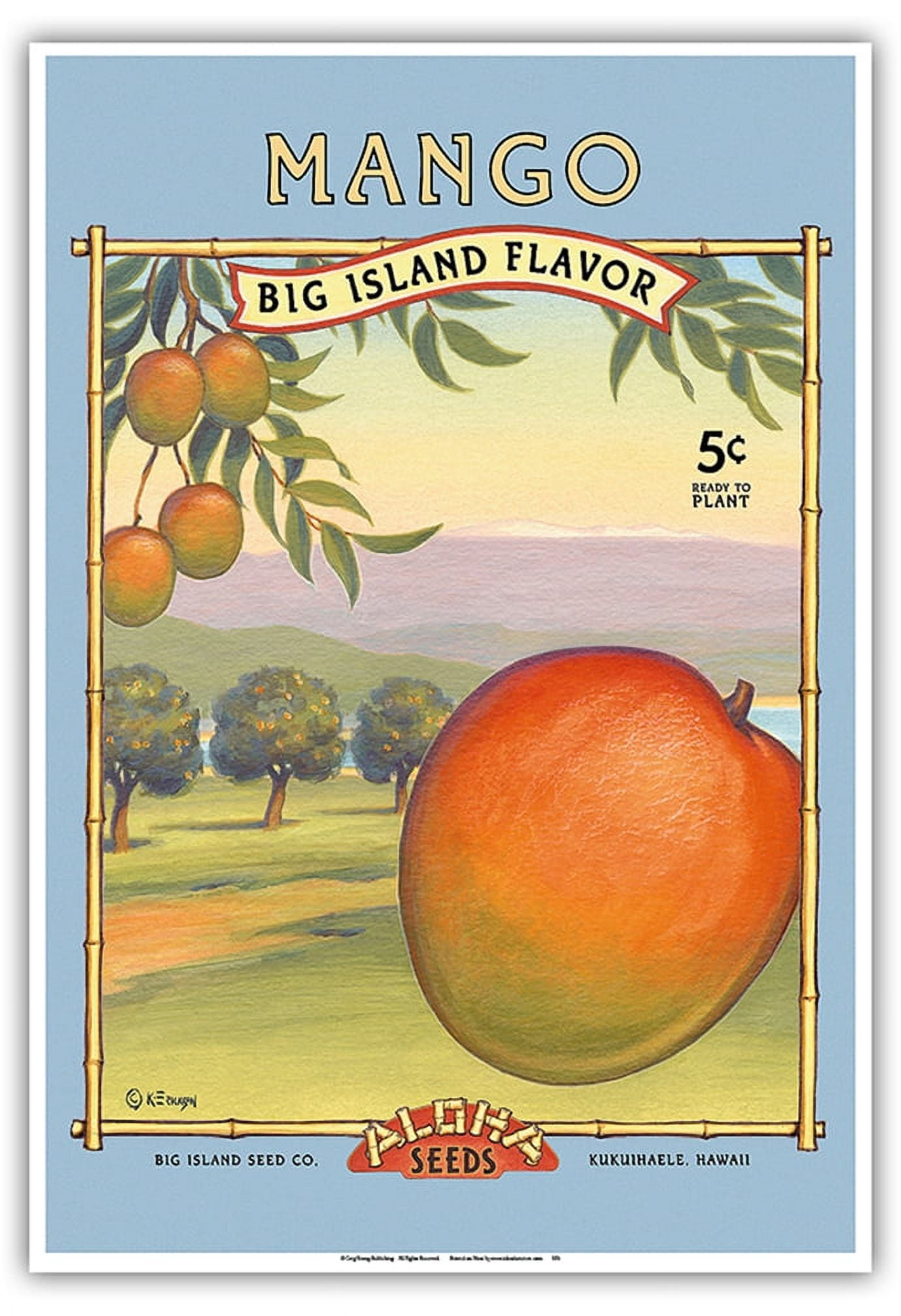 Mango - Aloha Seeds - Big Island Seed Company - Big Island Flavor ...