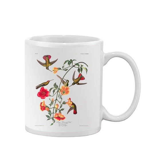 Mango Hummingbirds. Mug - John James Audubon Designs,