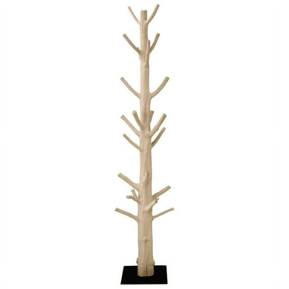 Mangosteen Tree Coat Rack on Black Iron Base