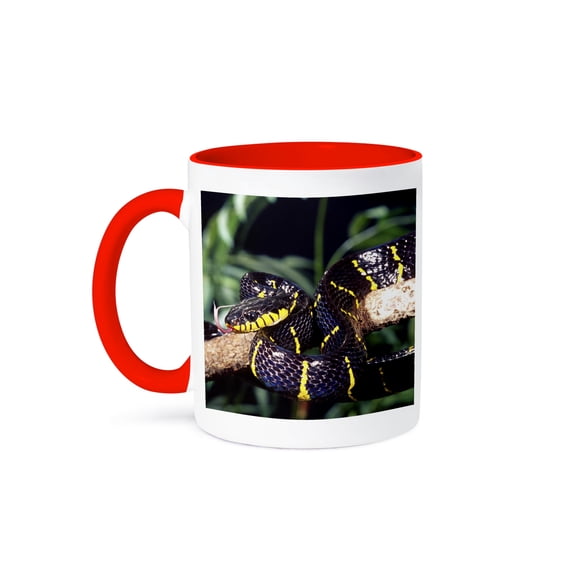 3drose, Mangrove Snake - Na02 Dno0501 - David Northcott, 15oz Two-tone Red Mug