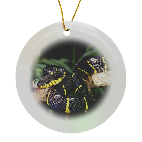 3drose, Mangrove Snake - Na02 Dno0501 - David Northcott, Circle Porcelain Ornament