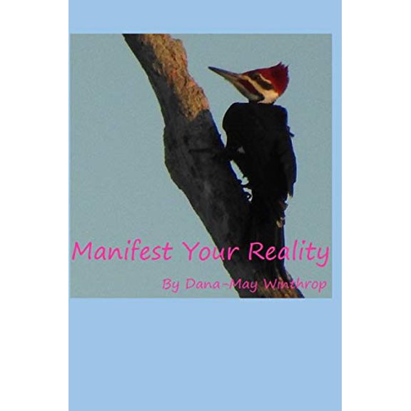Manifest Your Reality (Paperback)
