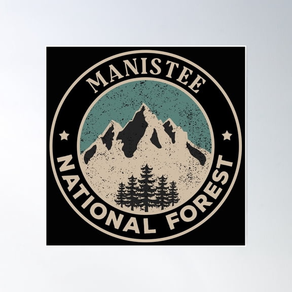 Manistee National Forest Poster Wall Art, Modern Wall Decor, 30x30 UNFRAMED