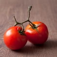 thumbnail image 1 of Manitoba Tomato Seeds - .25 Oz ~1875 Seeds - Solanum lycopersicum - Farm & Garden Vegetable Seeds - Non-GMO, Heirloom, Open Pollinated, Annual, 1 of 1