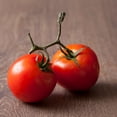 thumbnail image 1 of Manitoba Tomato Seeds - 500 mg Packet ~120 Seeds - Solanum lycopersicum - Farm & Garden Vegetable Seeds - Non-GMO, Heirloom, Open Pollinated, Annual, 1 of 1