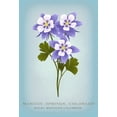thumbnail image 1 of Manitou Springs, Colorado, Vintage Flora, State Series, Rocky Mountain Columbine (36x54 Giclee Gallery Art Print, Vivid Textured Wall Decor), 1 of 3
