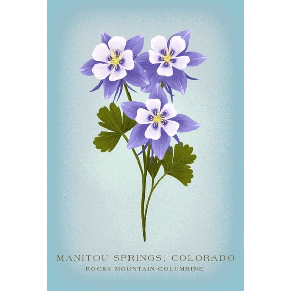 Manitou Springs, Colorado, Vintage Flora, State Series, Rocky Mountain Columbine (36x54 Giclee Gallery Art Print, Vivid Textured Wall Decor)