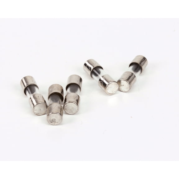 Manitowoc Ice 2511169 Fuse .125-Amp
