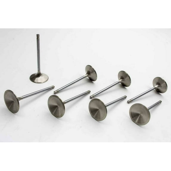 Manley 11815-8 MPP11815-8 VLV SEV DUTY BBC EXH (8)
