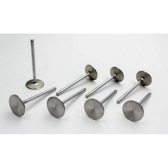 Manley 11816-8 MPP11816-8 VALVE-R/M
