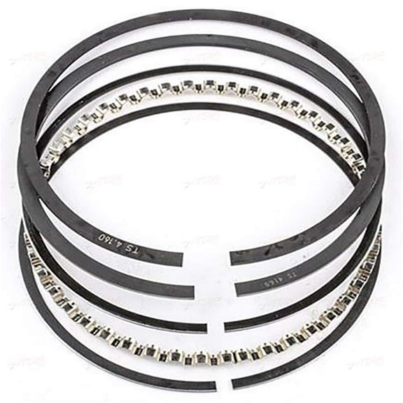 Manley Performance 46710ST-8 3.64 & 3.64 in. Bore Premium Steel Top Ring for Ford Coyote 5.0L DOHC 4 Valve