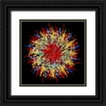 thumbnail image 1 of Manlove, David 12x12 Black Ornate Wood Framed with Double Matting Museum Art Print Titled - Feather Duster, 1 of 4