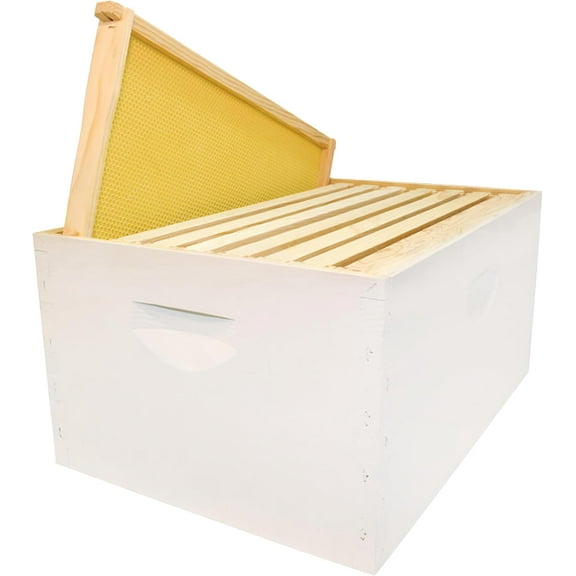 Mann Lake Hive Body Bundle, Assembled, 8-Frame, Painted, Beekeeping, Bee Box, Beekeeping Supplies, Harvest Honey, Includes 8 Assembled Frames w/Plastic Coated Foundation