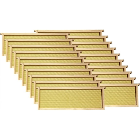 Mann Lake Premium Beekeeping Frames, Fully Assembled, Deep Rite-Cell Hive Frames, Beeswax Coating, Universal Fit, BPA & BPS Free, 6 1/4 Inches, Natural, 10-Pack