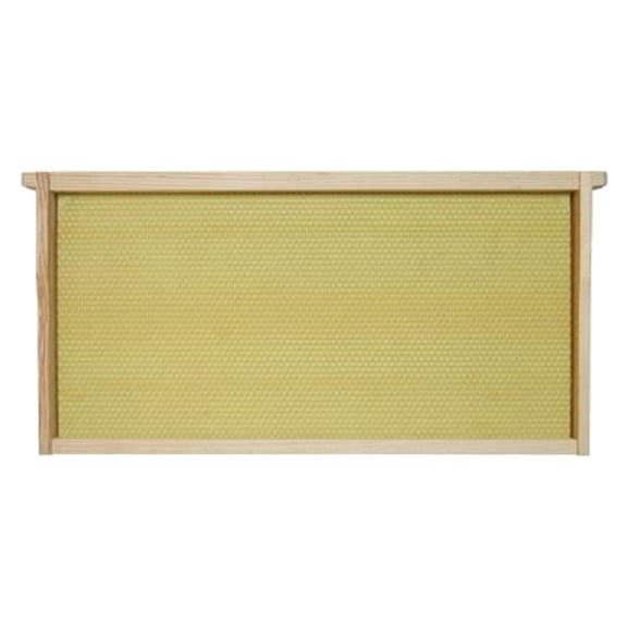 Mann Lake Premium Beekeeping Frames, Fully Assembled, Enhanced Max Wax Coating for Rapid Comb Drawing, Universal Fit, BPA & BPS Free, 9 1/8 Inches, Natural, 20-Pack