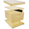 thumbnail image 1 of Mann Lake Traditional Complete 10-Frame Bee Hive Kit, Fully Assembled 9⅝” Deep Hive Body with 10 Frames, Beeswax-Coated Foundation, Telescoping Cover, Bottom Board & Reducer, Made in USA, Unpainted, 1 of 7