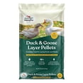 thumbnail image 1 of Manna Pro 1030543 Formulated with Probiotics to Support Healthy Digestion | 25 Pounds Duck Layer Pellet, 25 lbs, 1 of 3