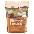 thumbnail image 1 of Manna Pro 7-Grain Ultimate Scratch, Purple Corn Chicken Feed, 10 lbs, 1 of 8