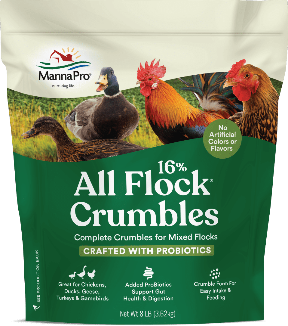 Manna Pro All Flock Crumbles with Probiotic for Chickens - 1 Bag - 8 lbs.