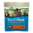thumbnail image 1 of Manna Pro Bounce Back  4LB, 1 of 3