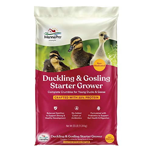 Manna Pro Duck Starter Grower Crumble | Non-Medicated Feed for Young Ducks | Supports Healthy Digestion | 25 Pounds