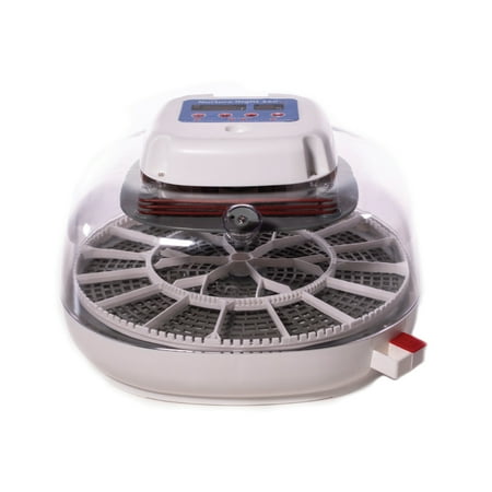 Manna Pro Harris Farms Nurture Right Egg Incubator, 360 Degree View
