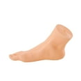 thumbnail image 1 of Mannequin Foot,Mannequin Foot Display Ankle Bracelet Shoe Model,Socks Shoes Display Holder Mannequin Foot Display,Sandal Display Female Foot Sock Display for Shop,Mannequin Female Right Foot, 1 of 8