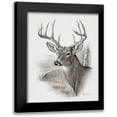 thumbnail image 1 of Manning, Ruane 12x14 Black Modern Framed Museum Art Print Titled - Fall Splendor, 1 of 5