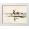 thumbnail image 1 of Manning, Ruane 24x19 White Modern Wood Framed Museum Art Print Titled - Misty Deer, 1 of 4