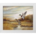 thumbnail image 1 of Manning, Ruane 24x20 White Modern Wood Framed Museum Art Print Titled - Mallards, 1 of 4