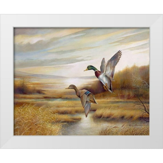 Manning, Ruane 24x20 White Modern Wood Framed Museum Art Print Titled - Mallards
