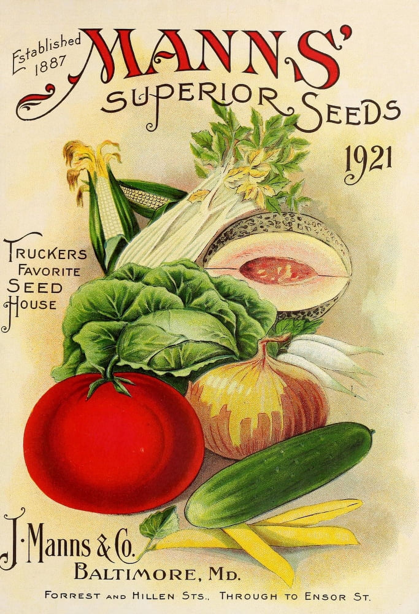 Manns Superior Seeds 1921 Vegetables Canvas Art - (18 x 24)