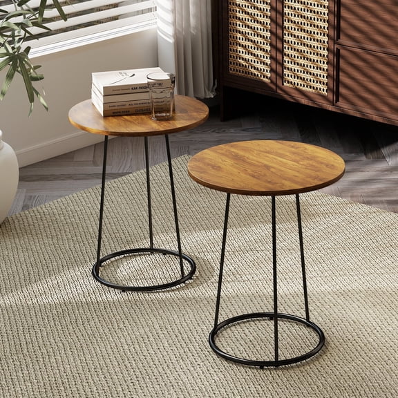 Manora Side Table Set of 2, Small Round End Table with Metal Frame, Bedside Corner Table for Living Room & Bedroom,Brown