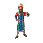 Nativity Wise Man Costume Child Nativity King