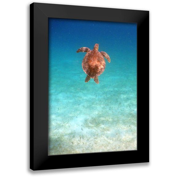 Mansfield, Kathy 11x14 Black Modern Framed Museum Art Print Titled - View from Below I