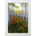 thumbnail image 1 of Mansfield, Kathy 11x14 White Modern Wood Framed Museum Art Print Titled - Aspen in the Day, 1 of 4