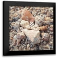 thumbnail image 1 of Mansfield, Kathy 12x12 Black Modern Framed Museum Art Print Titled - Shell Collection II, 1 of 5