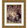 thumbnail image 1 of Mansfield, Kathy 12x14 Gold Ornate Wood Framed with Double Matting Museum Art Print Titled - Barrier Reef Coral I, 1 of 4