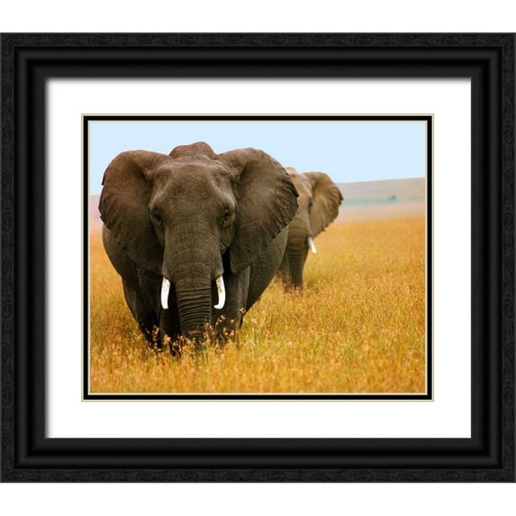 Mansfield, Kathy 14x12 Black Ornate Wood Framed with Double Matting Museum Art Print Titled - Elephant Plains